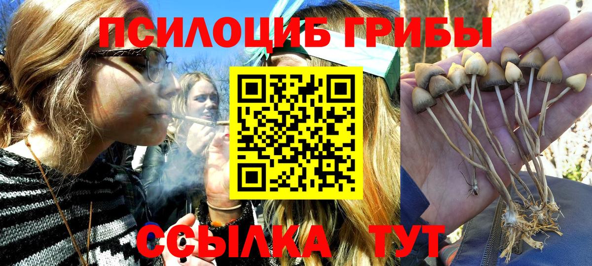 Псилоцибиновые грибы ЛСД  Псилоцибиновые грибы ЛСД  Вход с VPN  Новокузнецк 